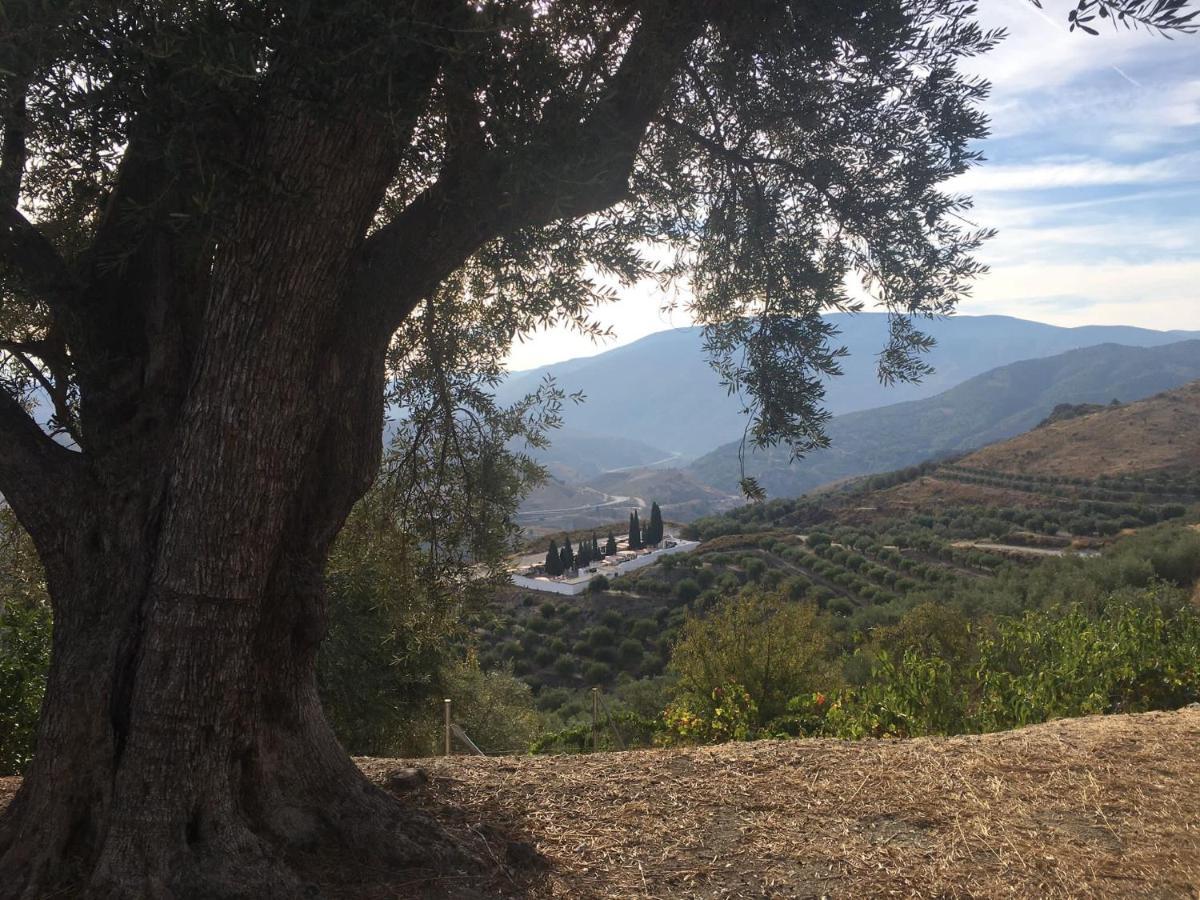 Jardin Andaluz Appart Alhambra Pinos del Valle 외부 사진